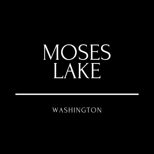 MOSES LAKE 2 Black and Cream Strikethrough Band Logo